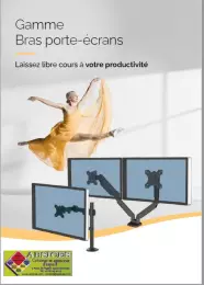 Fellowes bras porte-ecrans